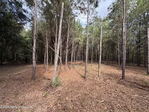 001 Us 80, Pearl, MS 39208 photo 31