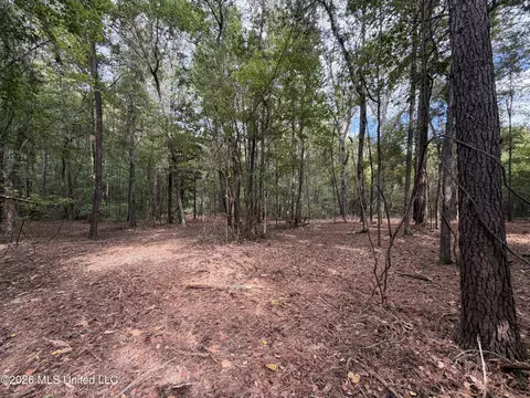 001 Us 80, Pearl, MS 39208 photo 28
