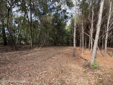 001 Us 80, Pearl, MS 39208 photo 30