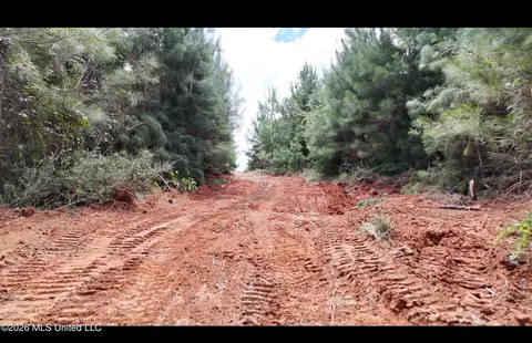 Plez Drive, Brookhaven, MS 39601 photo 5