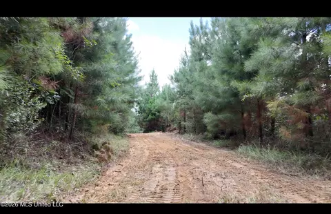 Plez Drive, Brookhaven, MS 39601 photo 8