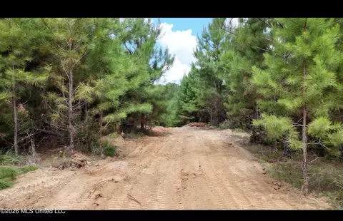Plez Drive, Brookhaven, MS 39601 photo 7
