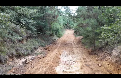 Plez Drive, Brookhaven, MS 39601 photo 2