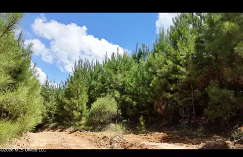 Plez Drive, Brookhaven, MS 39601 photo 3