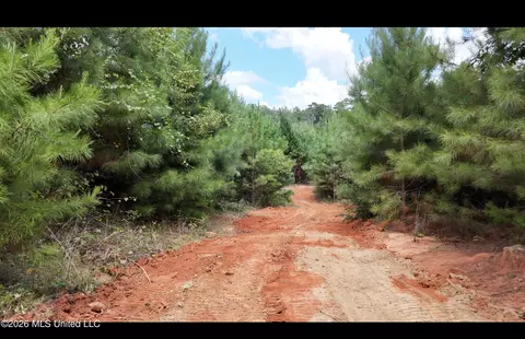 Plez Drive, Brookhaven, MS 39601 photo 4