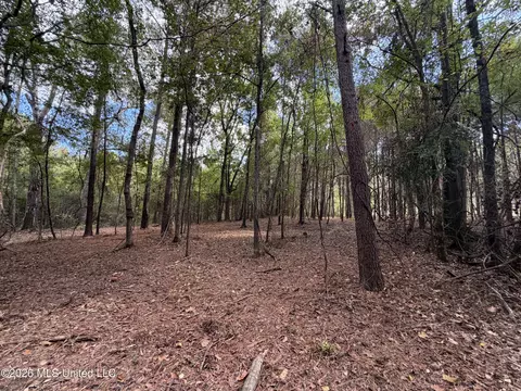 5204 E Highway 80, Pearl, MS 39208 photo 11