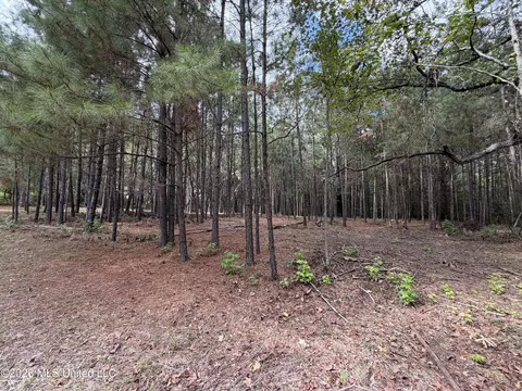 5204 E Highway 80, Pearl, MS 39208 photo 13