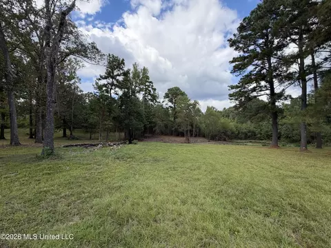 5220 E Highway 80, Pearl, MS 39208 photo 5