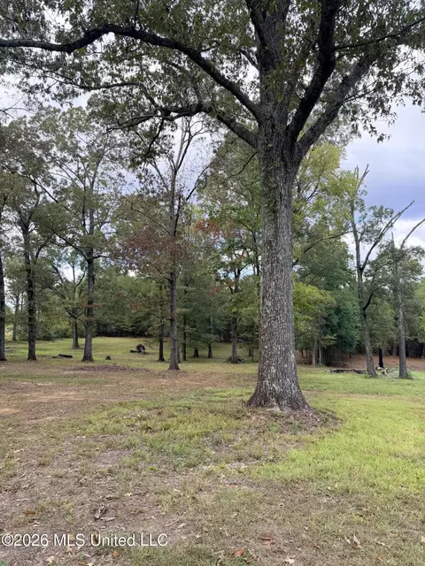 5220 E Highway 80, Pearl, MS 39208 photo 10