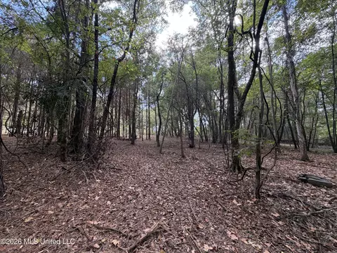 5220 E Highway 80, Pearl, MS 39208 photo 7