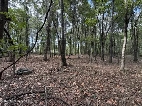 5220 E Highway 80, Pearl, MS 39208 photo 15