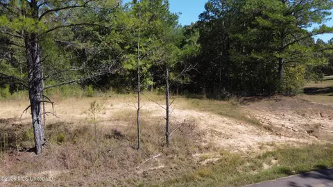 Jeffries Road, Potts Camp, MS 38659 photo 8