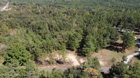 Jeffries Road, Potts Camp, MS 38659 photo 6
