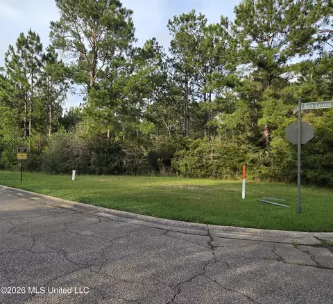 Shell Landing Boulevard, Gautier, MS 39553 photo 2
