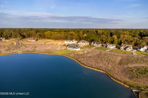 View/Area - 277 Oakworth Dr, Hernando, MS 38632 photo 2 of 3