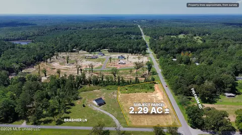 Nsn Fig Farm Road, Lucedale, MS 39452 photo 2