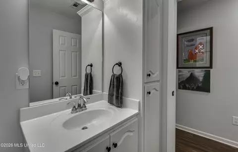 Bath - 255 Spring Creek Rd, Flora, MS 39071 photo 6 of 9