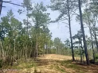 30 Mississippi 310, Como, MS 38619 photo 13