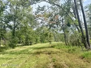 30 Mississippi 310, Como, MS 38619 photo 4