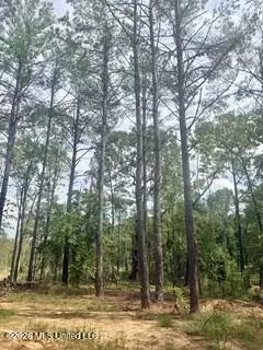 30 Mississippi 310, Como, MS 38619 photo 12