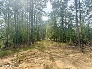 30 Mississippi 310, Como, MS 38619 photo 17