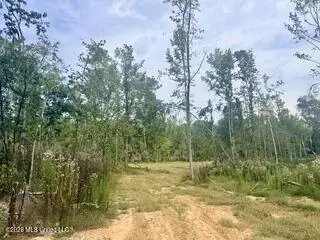 30 Mississippi 310, Como, MS 38619 photo 15