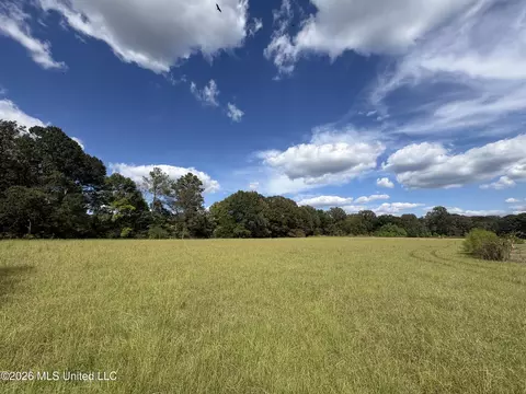 Sharon Road, Canton, MS 39046 photo 4