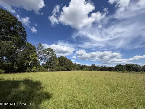 Sharon Road, Canton, MS 39046 photo 3