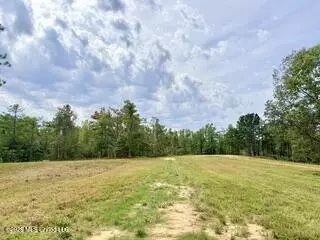 187 Highway 310, Como, MS 38619 photo 7