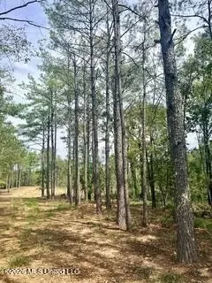 187 Highway 310, Como, MS 38619 photo 24