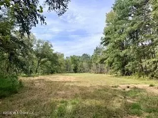 187 Highway 310, Como, MS 38619 photo 12