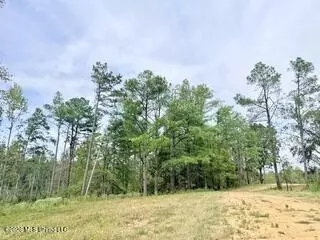 187 Highway 310, Como, MS 38619 photo 5