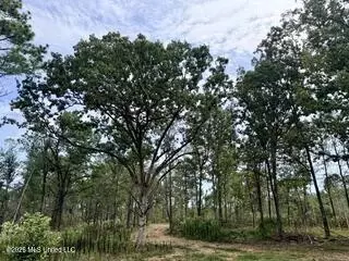 187 Highway 310, Como, MS 38619 photo 3