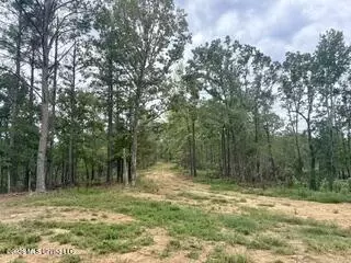187 Highway 310, Como, MS 38619 photo 4