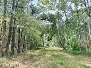 187 Highway 310, Como, MS 38619 photo 14