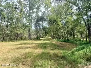 187 Highway 310, Como, MS 38619 photo 15