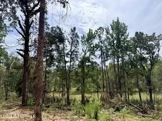 187 Highway 310, Como, MS 38619 photo 11
