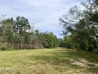 187 Highway 310, Como, MS 38619 photo 13
