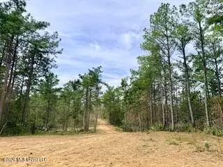 187 Highway 310, Como, MS 38619 photo 8