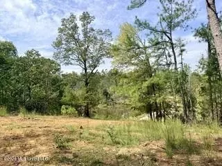 187 Highway 310, Como, MS 38619 photo 23