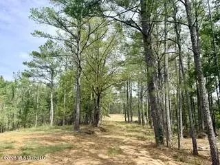 187 Highway 310, Como, MS 38619 photo 19