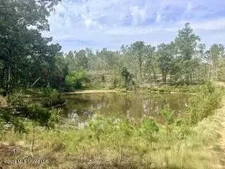 187 Highway 310, Como, MS 38619 photo 20