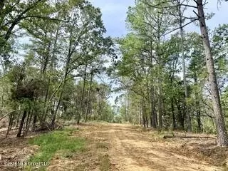 187 Highway 310, Como, MS 38619 photo 10