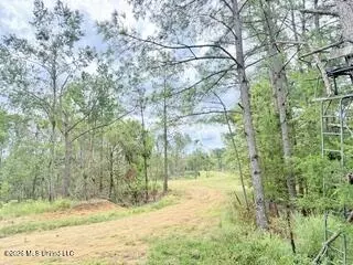 187 Highway 310, Como, MS 38619 photo 6