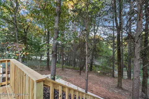 Other - 2398 Placid Cv, Nesbit, MS 38651 photo 17 of 17