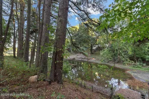 Other - 2398 Placid Cv, Nesbit, MS 38651 photo 15 of 17