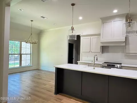 Kitchen - 4 Stampede Pass, Sumrall, MS 39482 photo 5 of 6