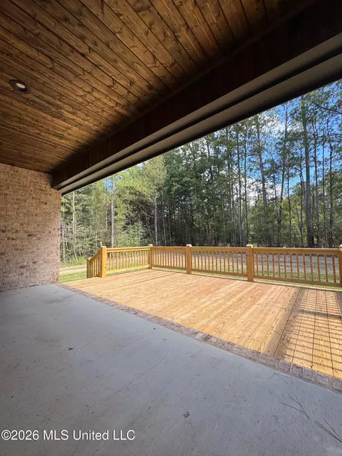 Exterior - 4 Stampede Pass, Sumrall, MS 39482 photo 4 of 6