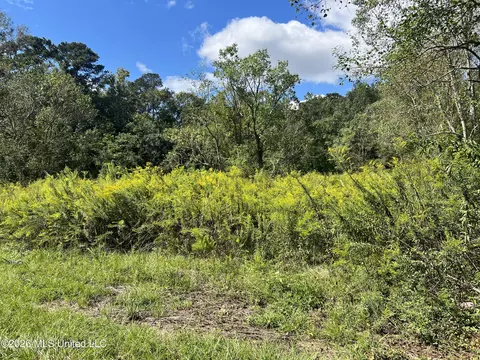 37 Horace E Mitchell Rd, Picayune, MS 39466 photo 6