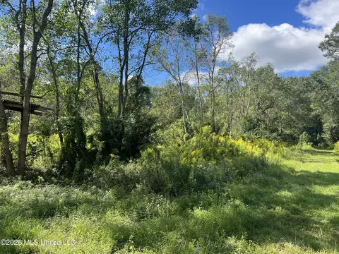 37 Horace E Mitchell Rd, Picayune, MS 39466 photo 4